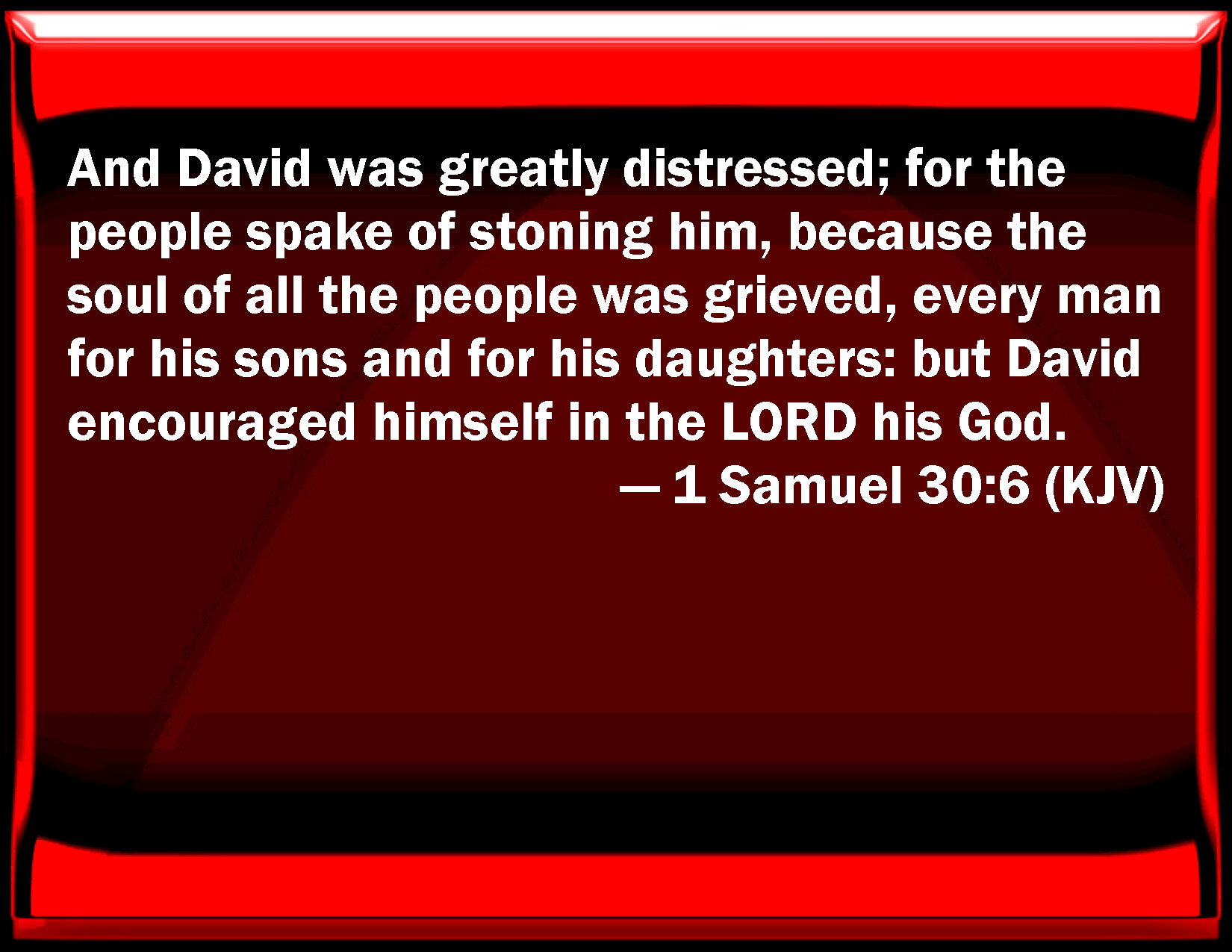 1 Samuel 306 And David was greatly distressed; for the
