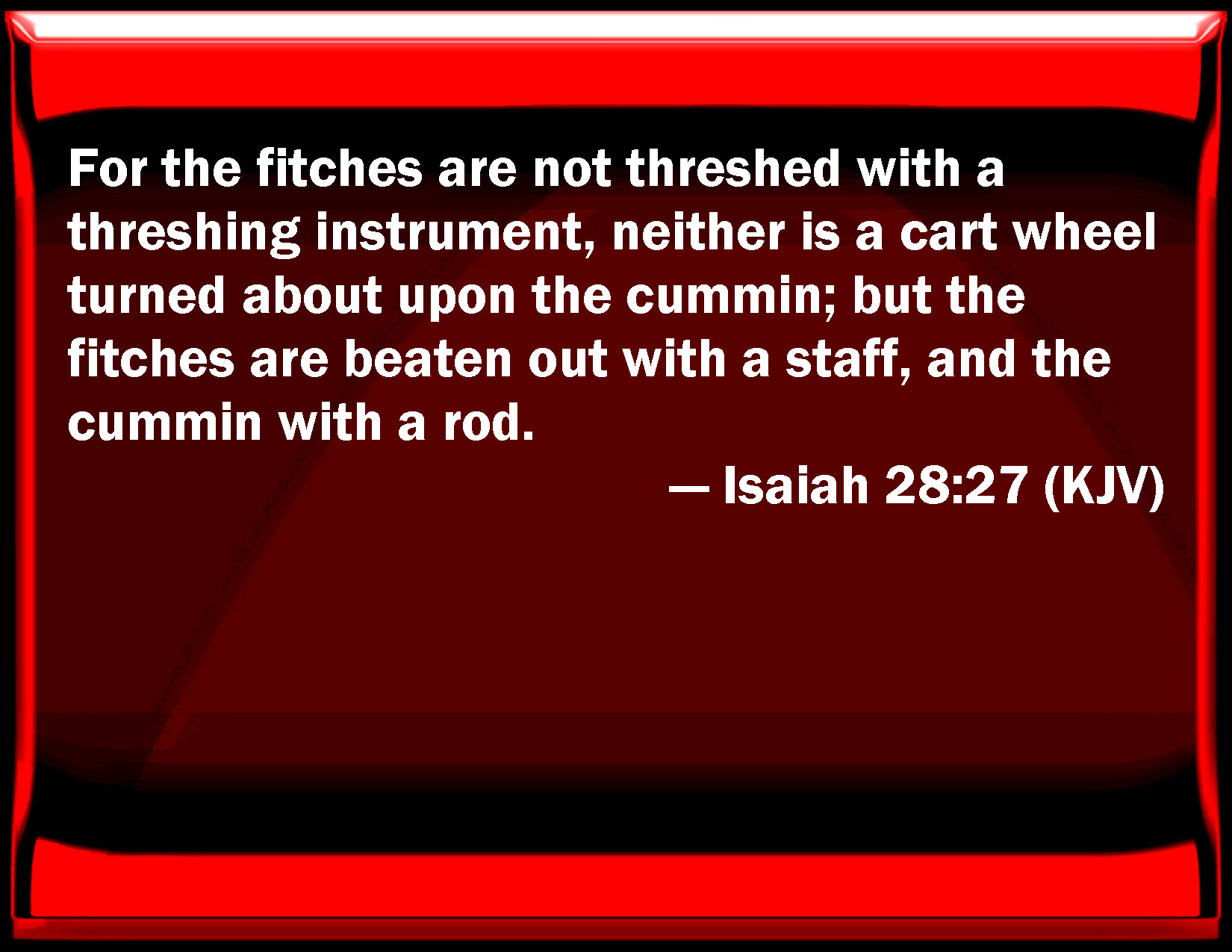 Isaiah 28 27 For The Fitches Are Not Threshed With A Threshing 