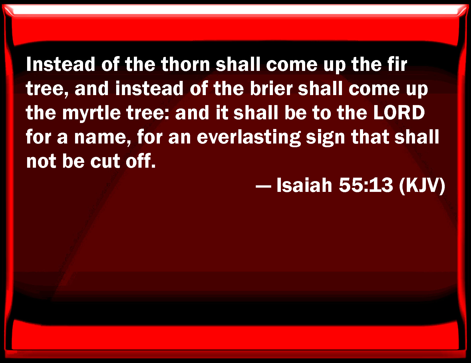 Isaiah 55 13 Instead Of The Thorn Shall Come Up The Fir Tree And 