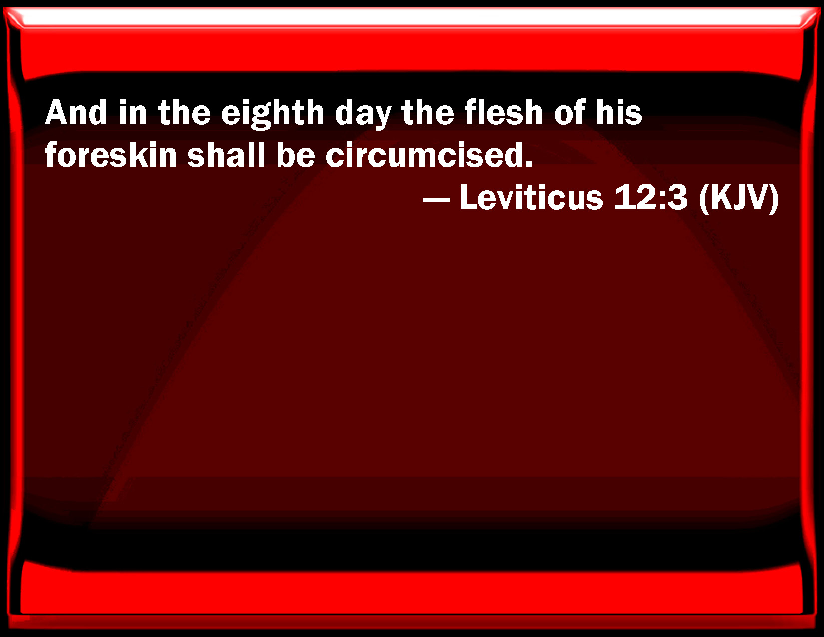 Leviticus 12 3 And In The Eighth Day The Flesh Of His Foreskin Shall Be Circumcised