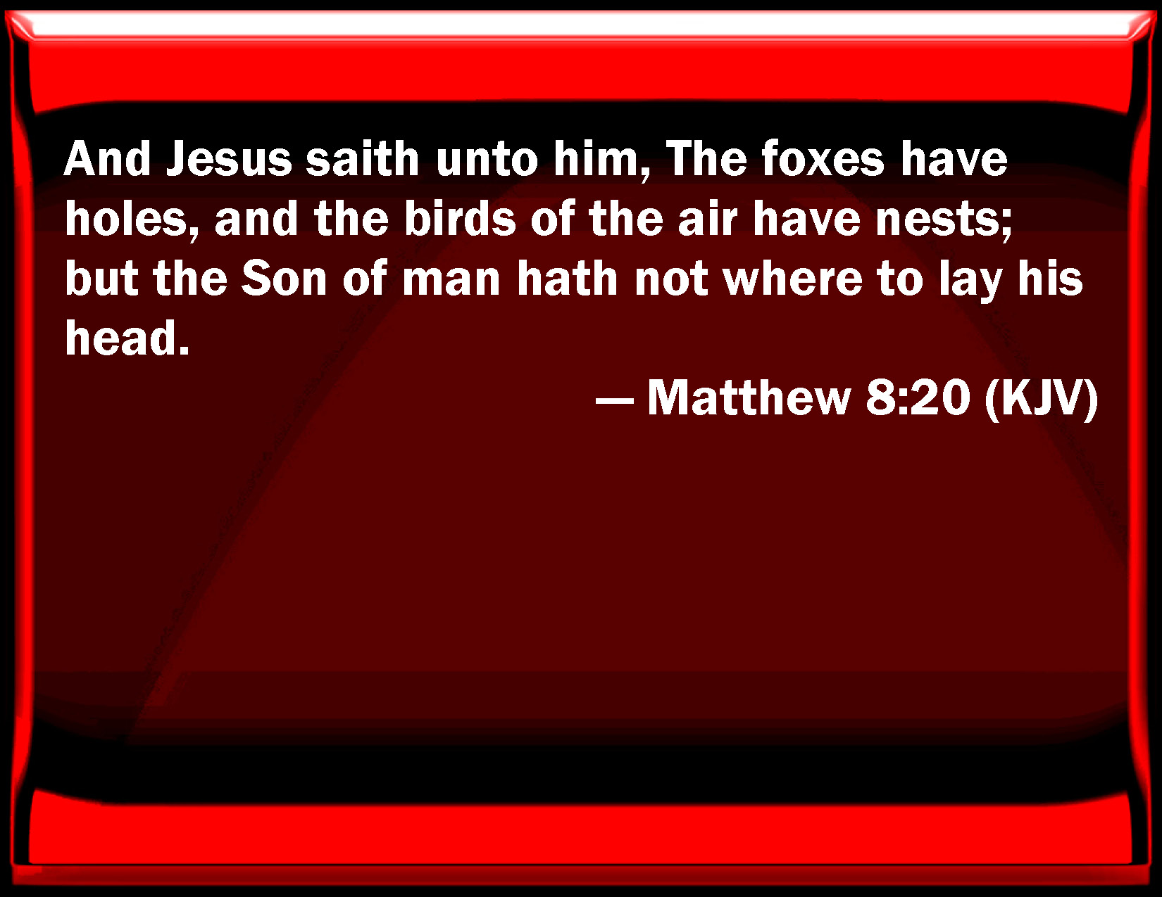 Matthew 8 20 And Jesus Said To Him The Foxes Have Holes And The Birds 