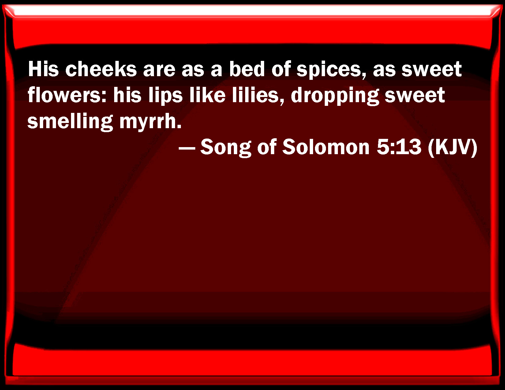A Bed of Spices by Barbara Samuel