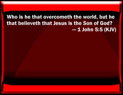 bible john 5