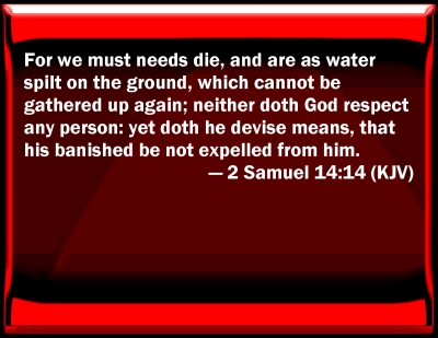 2 samuel 14 kjv