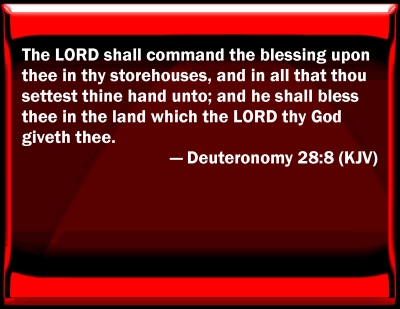 deuteronomy 28 8 bible verse