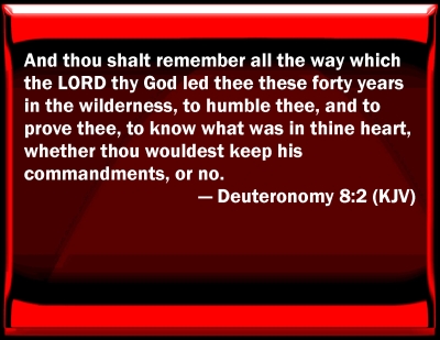 Deuteronomy 8