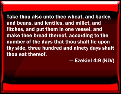 ezekiel 4 9 kjv