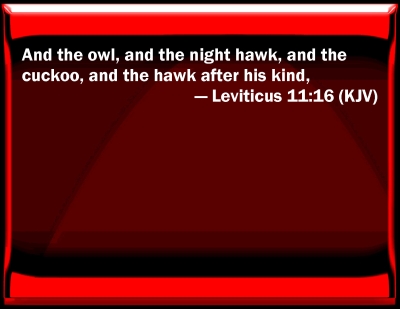 leviticus slides verse bible kjv