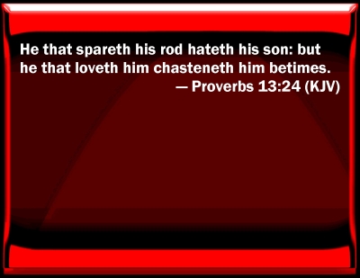 proverbs 13 24 message bible