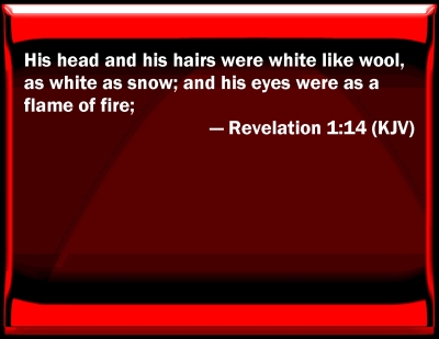 revelation 14 1