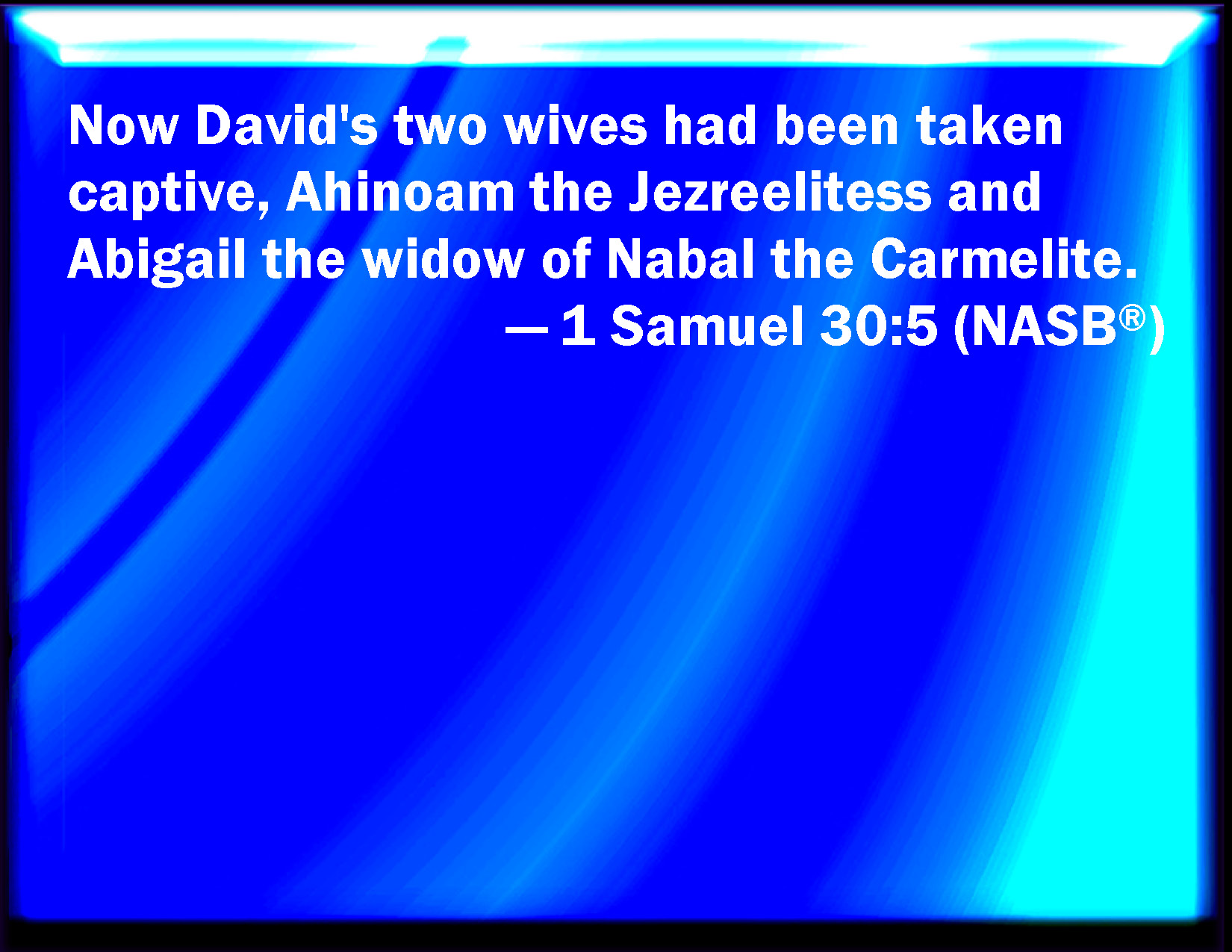 1 Samuel 305 And David's two wives were taken captives