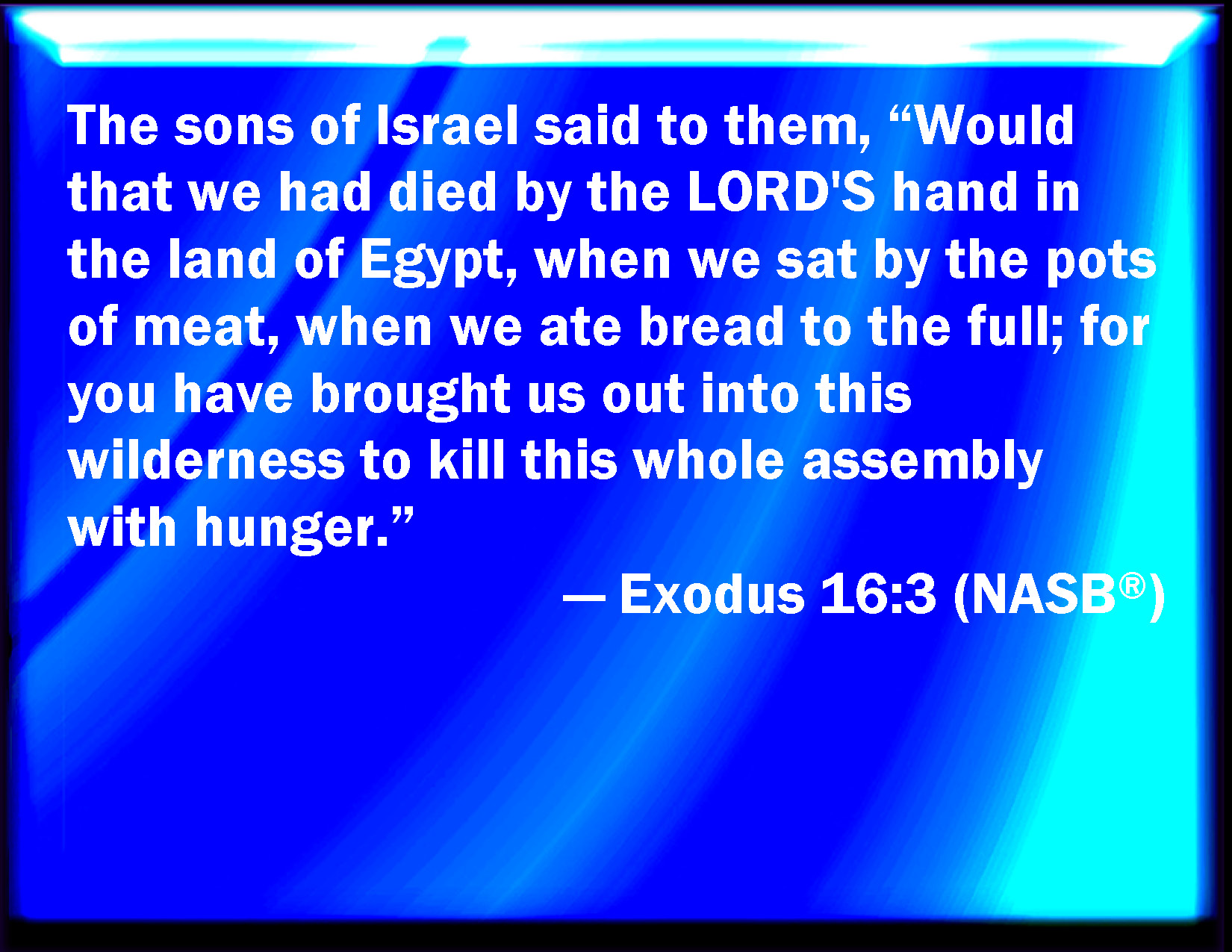 Exodus 163 And The Children Of Israel Said To Them Would To God We
