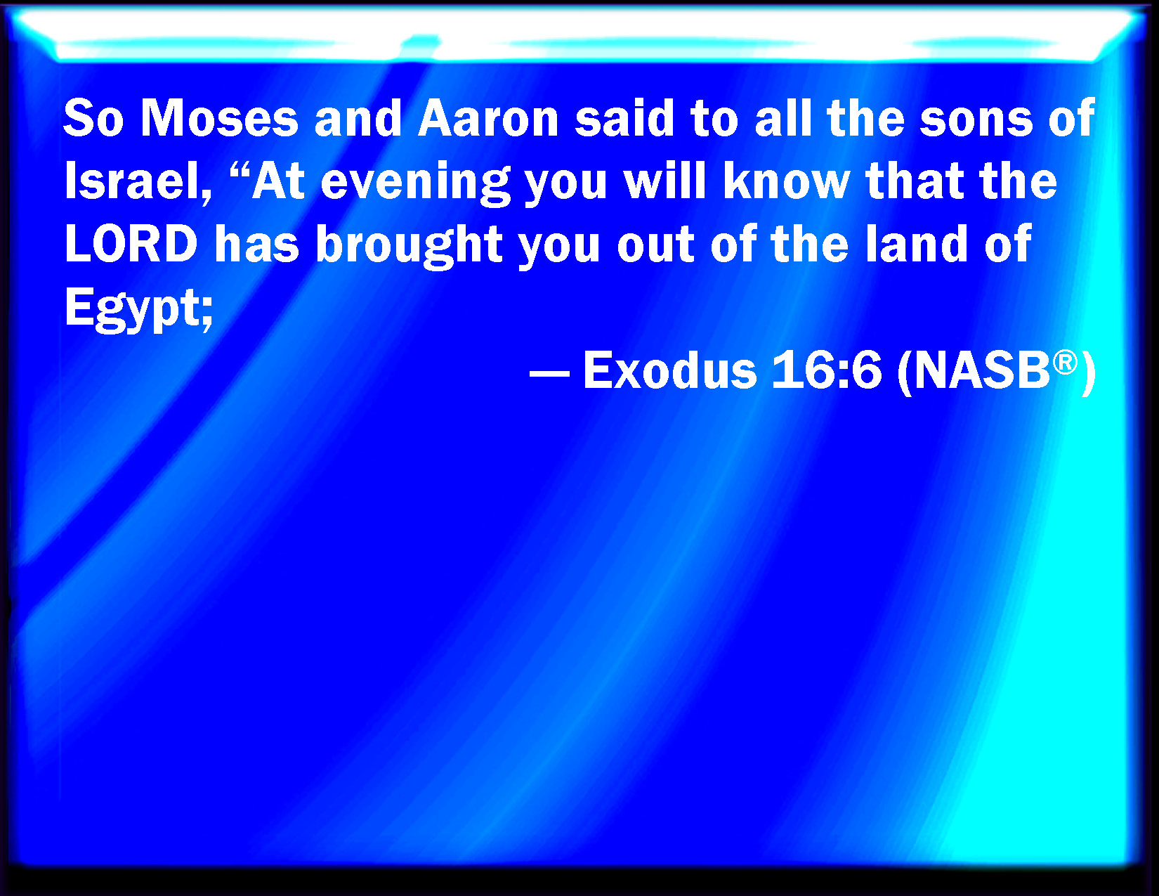 Exodus 166 And Moses And Aaron Said To All The Children Of Israel At