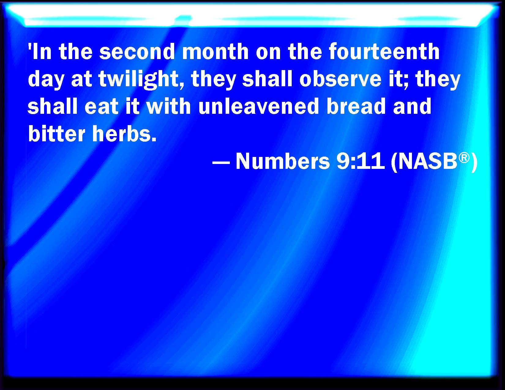 Numbers 9 11 The Fourteenth Day Of The Second Month At Even They Shall Numbers 9 11 The Fourteenth Day Of The Second Month At Even They Shall