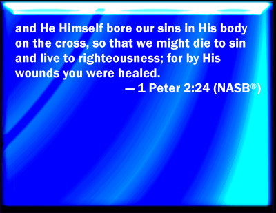 1 peter 2 24 bible hub