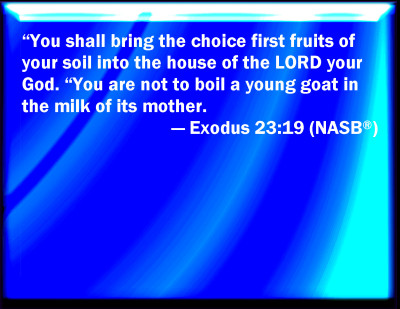 You Shall Not Boil A Kid In Its Mother S Milk You Shall Not Boil A Kid In Its Mother S Milk