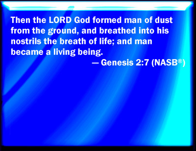 genesis 2 7 bible study
