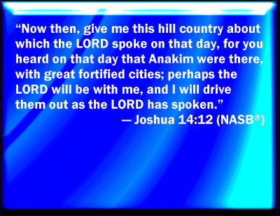 joshua 14 12 esv