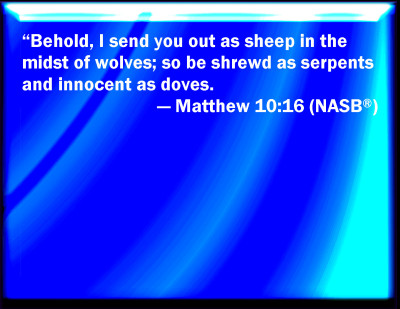 matthew 10 16 bible gateway