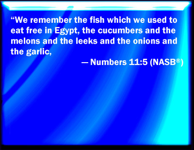 What is the biblical meaning of the number 729 photo 5