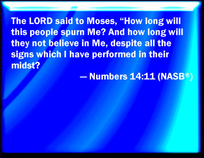 numbers 14 11 esv