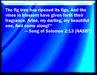 song of solomon explained