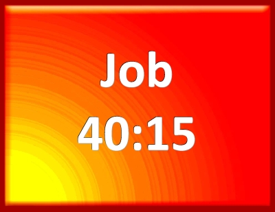 job 40 6-14