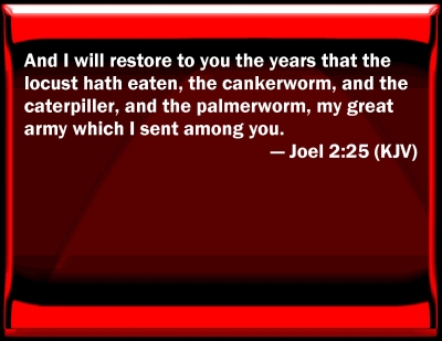 Bible Verse Powerpoint Slides for Joel 2:25