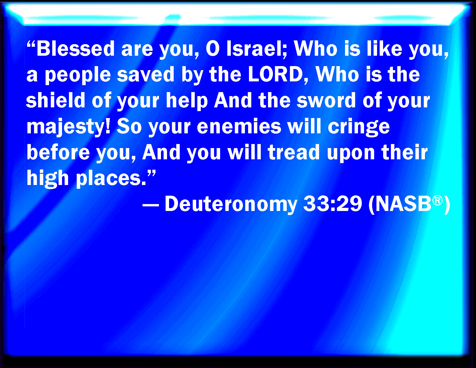Deuteronomy 33:29 AMP - Happy and blessed are you, O Israel; Who is like  you, a people saved by the Lord, The Shield of your…