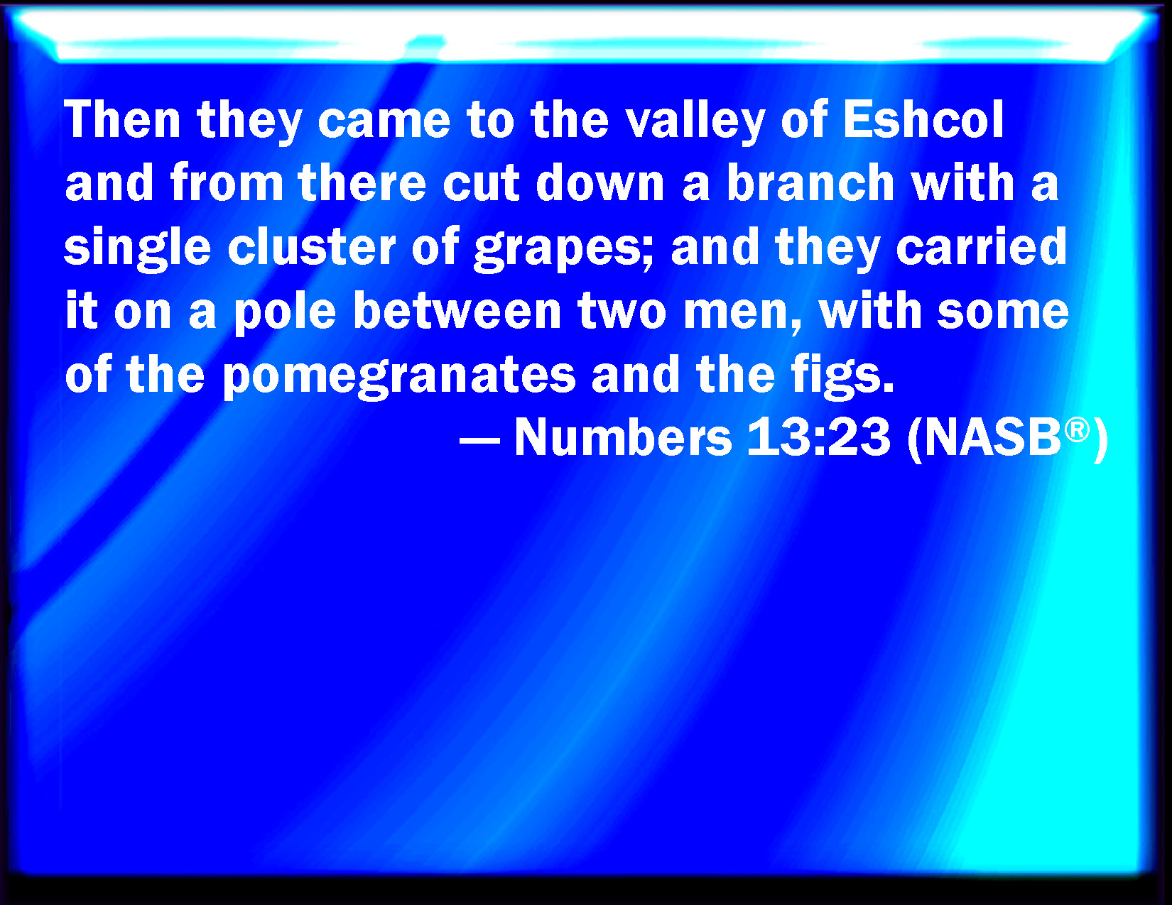 Numbers 13 23 And They Came To The Brook Of Eshcol And Cut Down From 