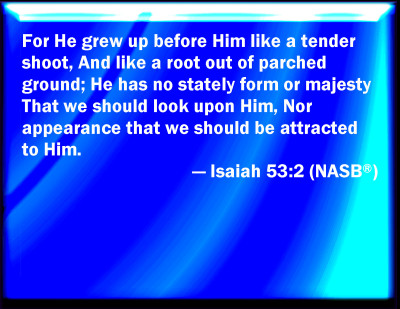 Bible Verse Powerpoint Slides for Isaiah 53:2