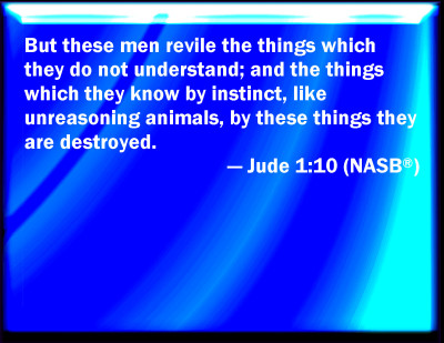 Bible Verse Powerpoint Slides for Jude 1:10