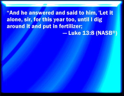 Bible Verse Powerpoint Slides for Luke 13:8